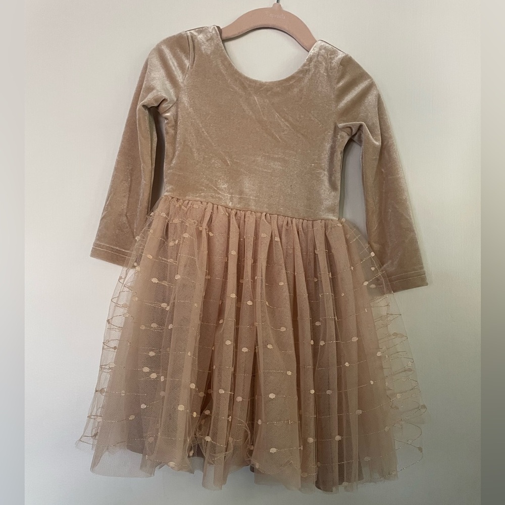 Champagne Velvet and Tulle Holiday Dress | 2T | NWOT